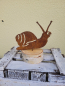 Preview: Schnecke zum Schrauben