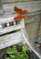 Preview: Schmetterling Falter