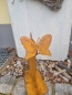 Preview: Neugierige Katze mit Schmetterling auf der Nase
