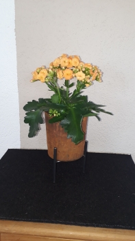 Topf aus Edelrost  zum bepflanzen ca. 16-17 cm hoch