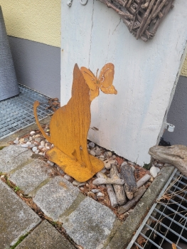 Neugierige Katze mit Schmetterling auf der Nase