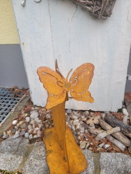 Neugierige Katze mit Schmetterling auf der Nase