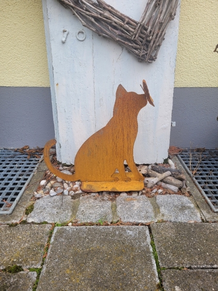 Neugierige Katze mit Schmetterling auf der Nase