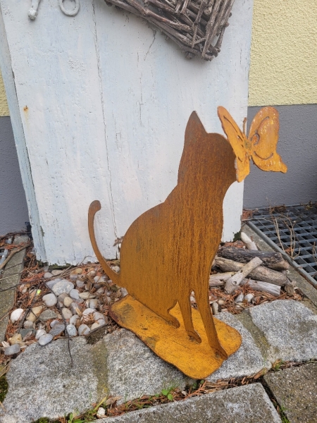Neugierige Katze mit Schmetterling auf der Nase